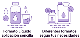 claves para elegir tu regulador